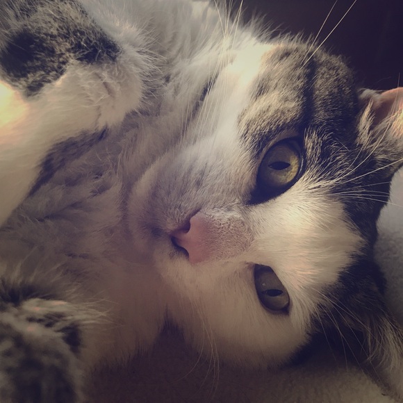 Meet your Posher, Jen - Picture 1 of 1